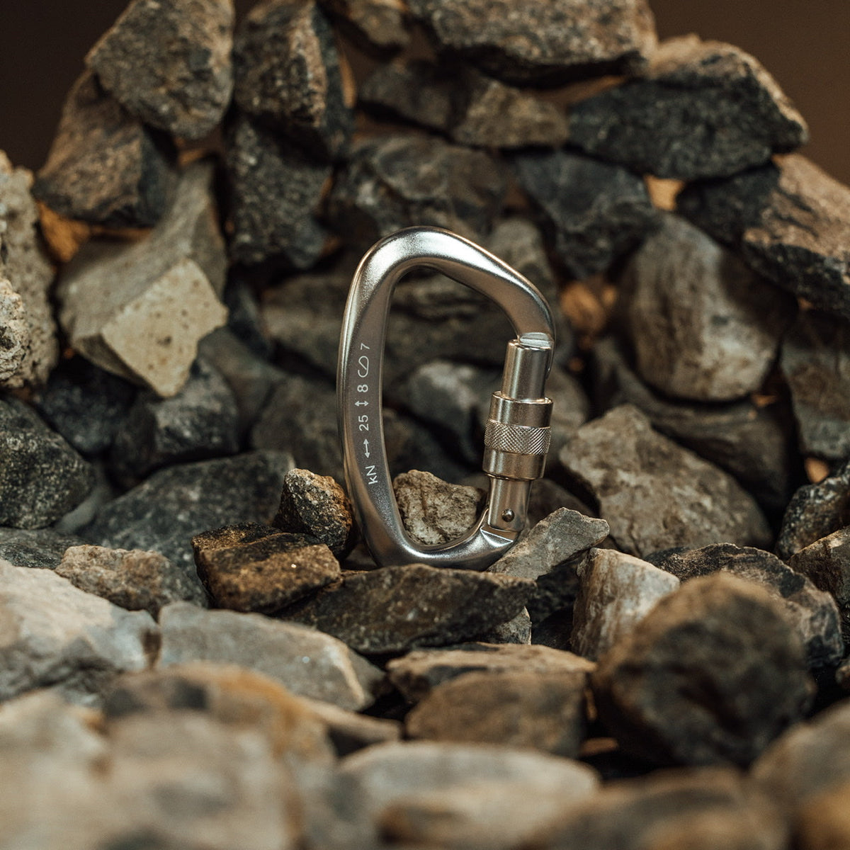 Accessory Carabiner Silver - Image 2