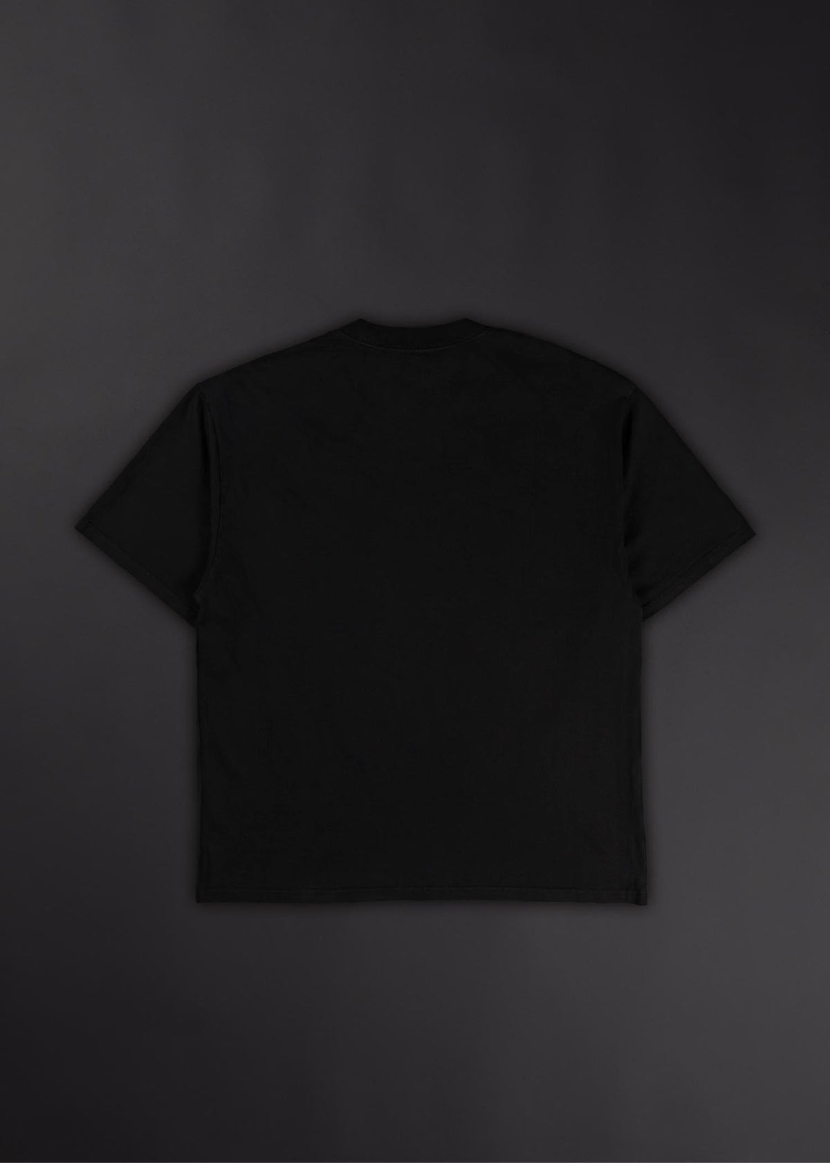 "Fallen" Dante's Inferno Graphic T-Shirt - Image 9