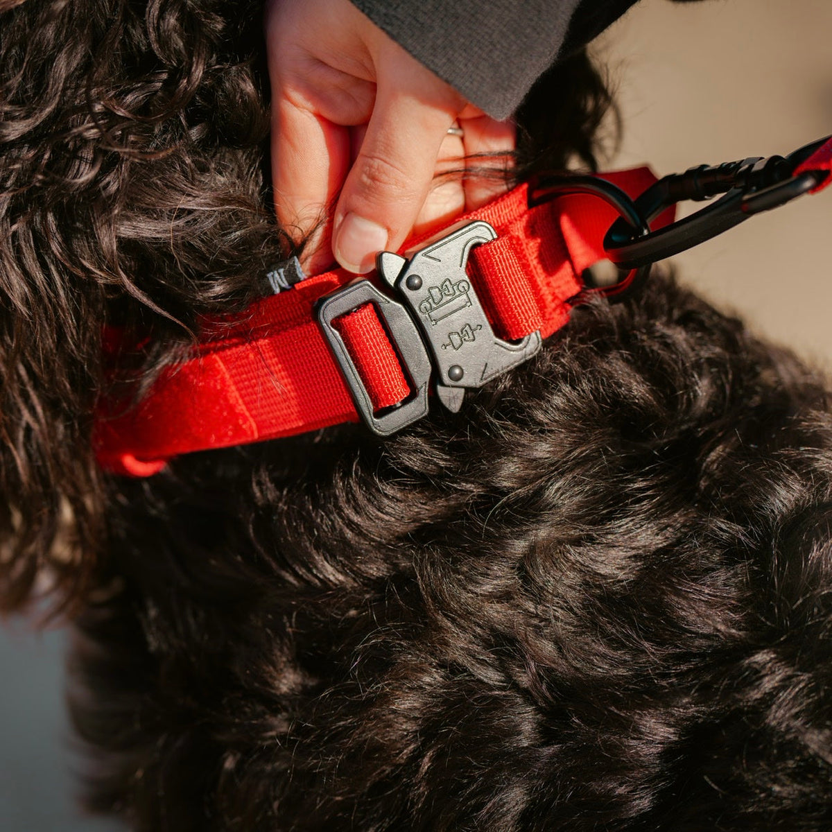 Tactical Nylon Dog Collar Elite Red - Image 3
