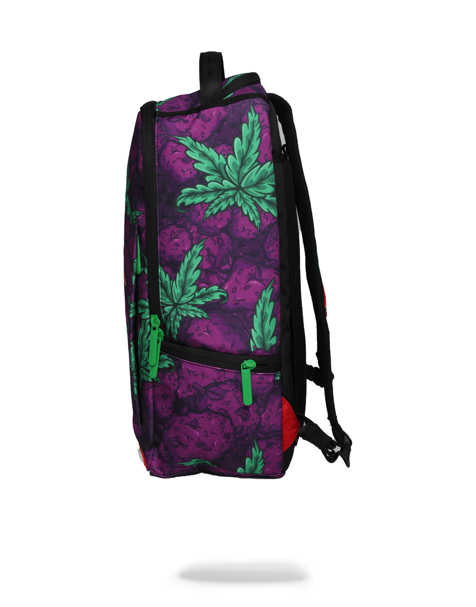 Queen Indica - Image 4