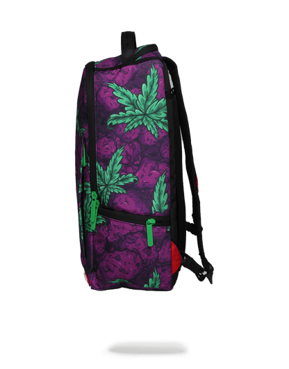 Queen Indica - Image 4