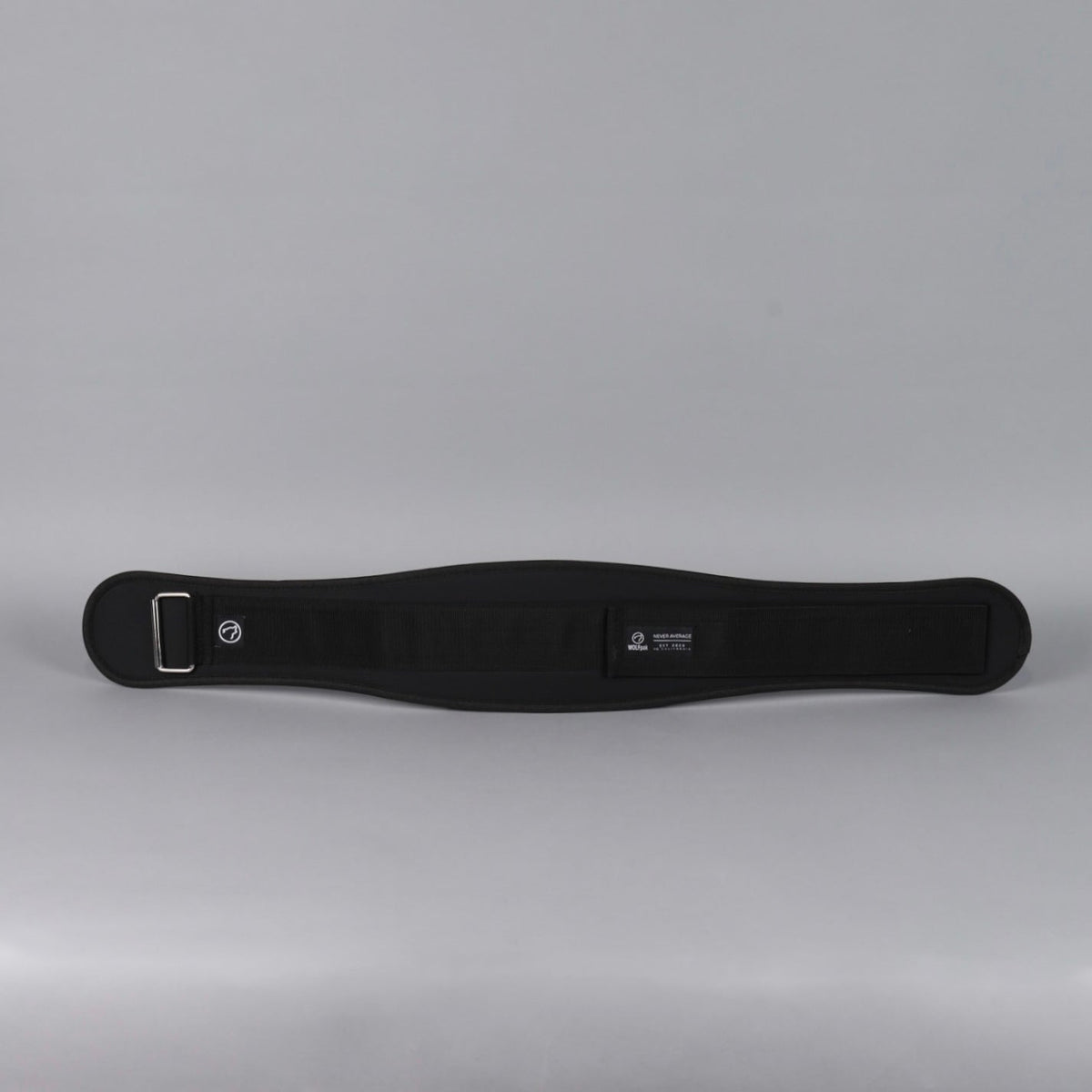 Lifting Belt - Image 7