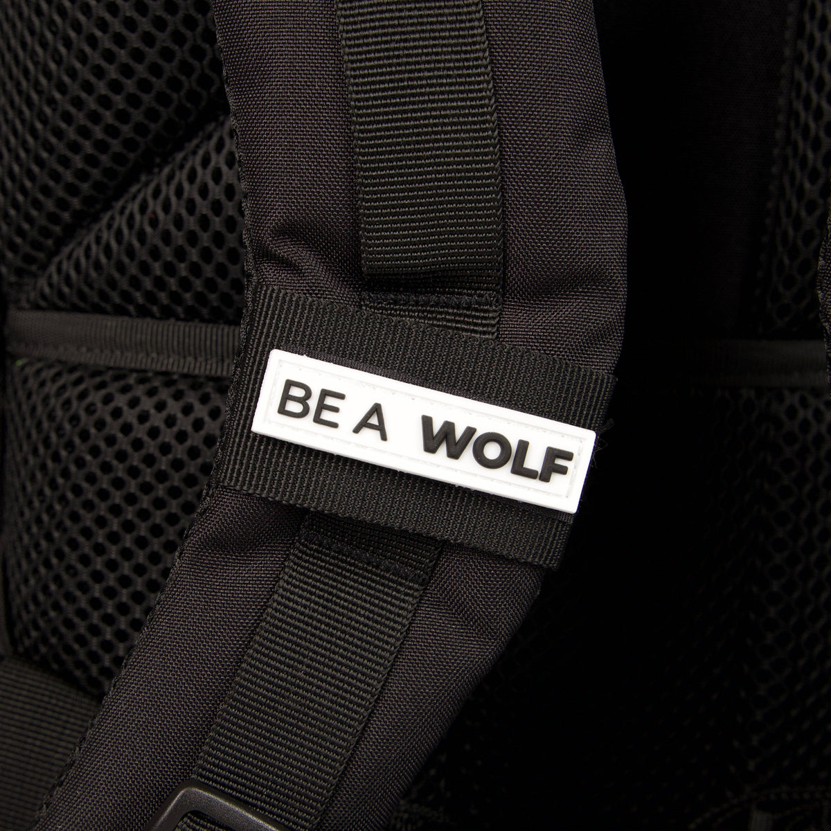 45L Backpack Part 1: The Rise - Image 12