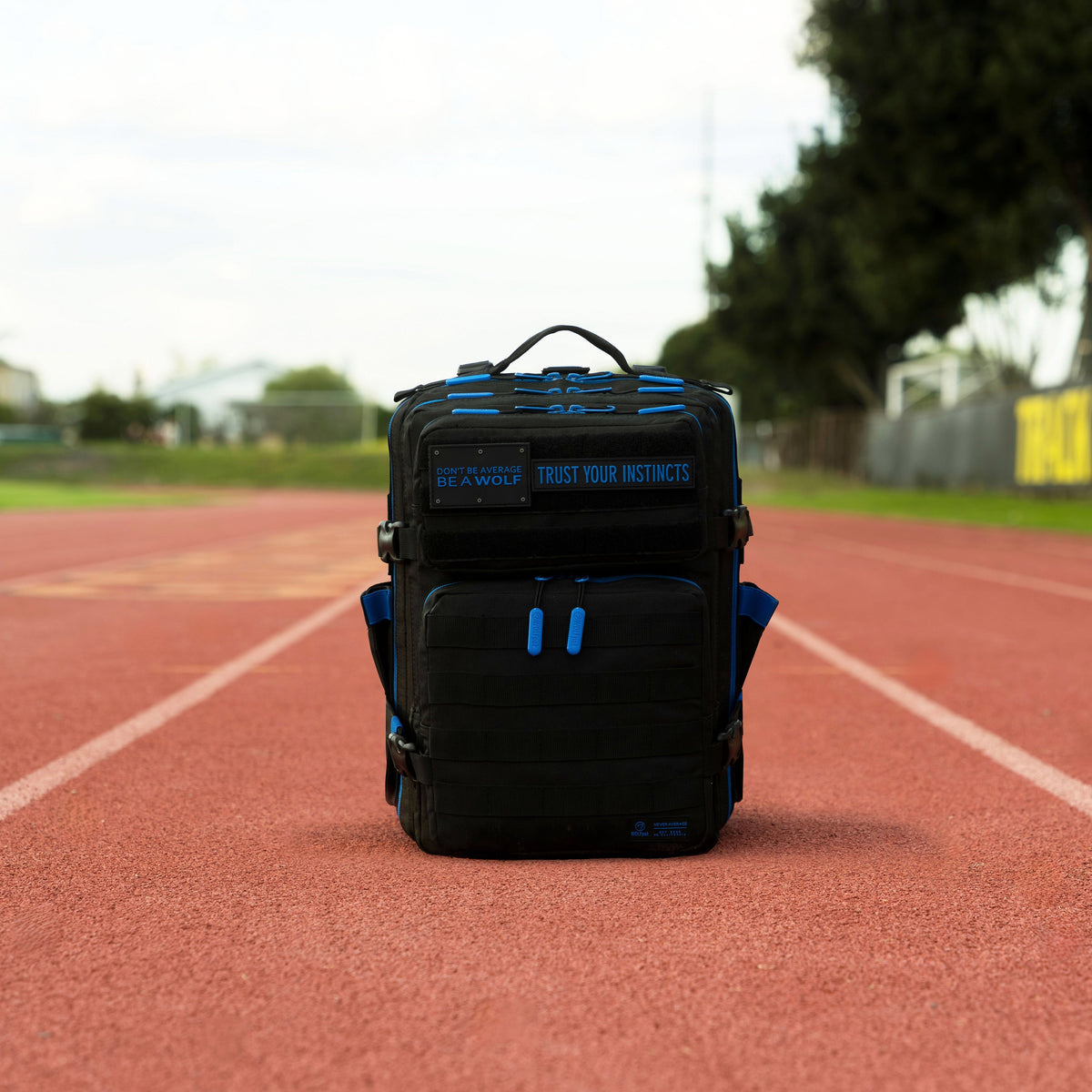 25L Backpack Blue Wolf
