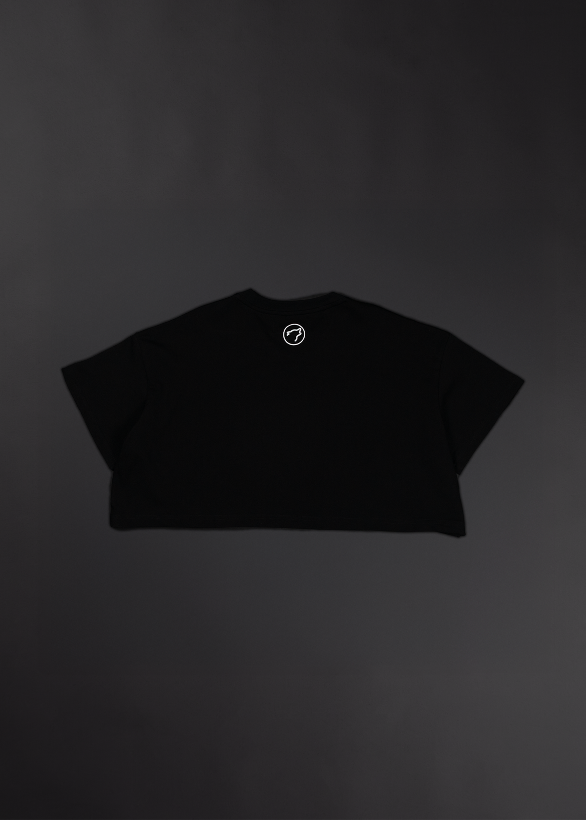 Deathwing Cropped Tee - Image 5