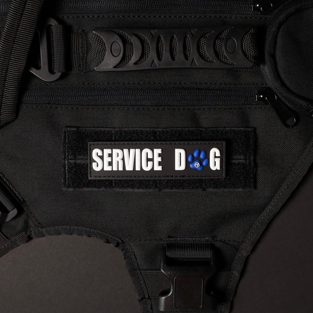 Service Dog w/ Blue Paw