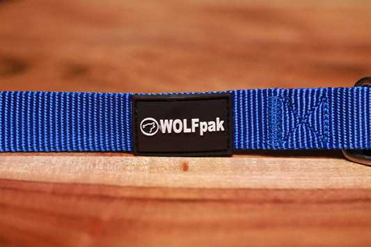 Adjustable Nylon Dog Collar Champion Blue - Image 2