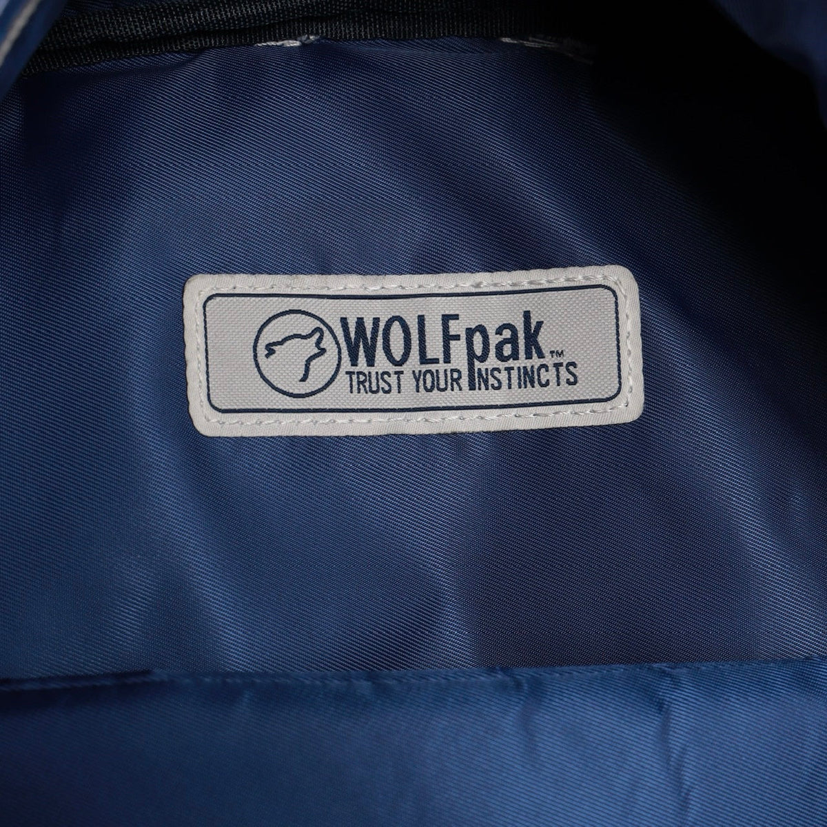 Varsity Blue Classic Backpack - Image 13