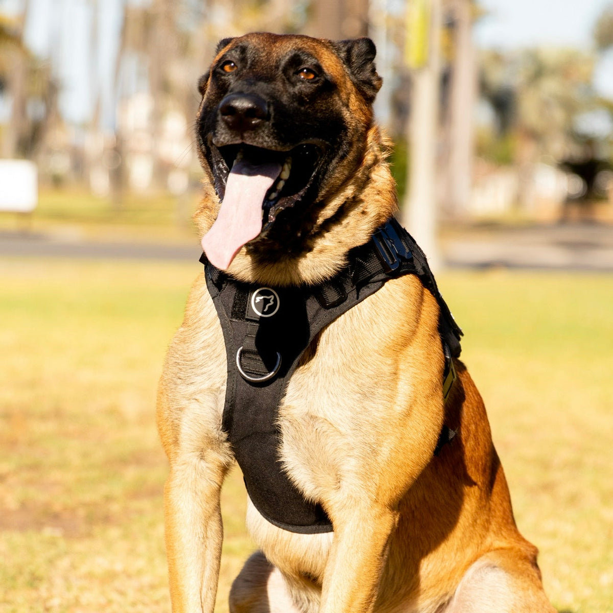 Alpha Black Tactical Dog Vest Harness - Image 5