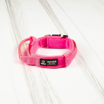 Tactical Nylon Dog Collar Neon Pink - Image 7