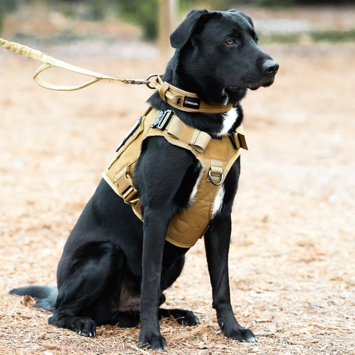 Khaki Tactical Dog Vest Harness - Image 6