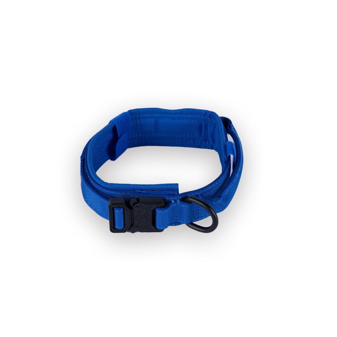 Tactical Nylon Dog Collar Blue - Image 2
