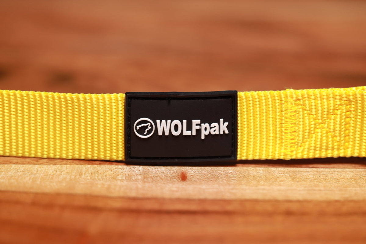 Adjustable Nylon Dog Collar Sunkiss Yellow - Image 2