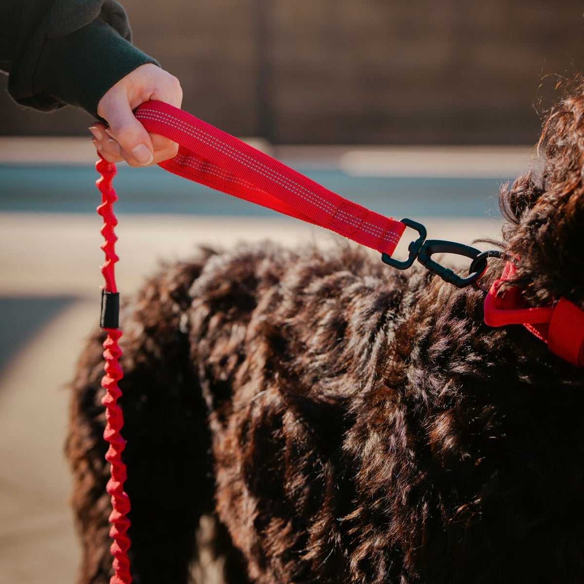 Tactical Nylon Leash Elite Red - Image 4
