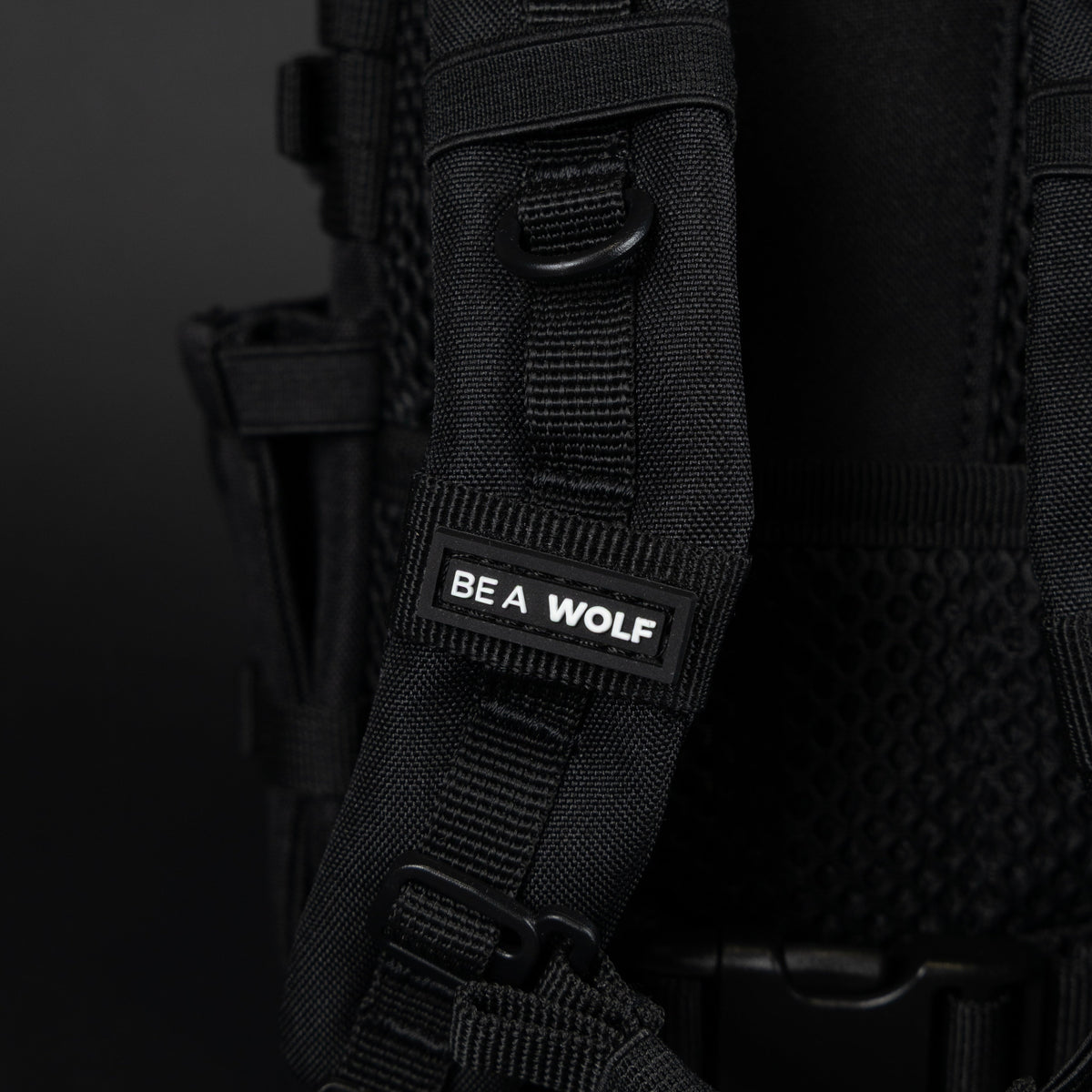 3L Collector's Pak Alpha Black (SOLD OUT) Not Restocking - Image 16