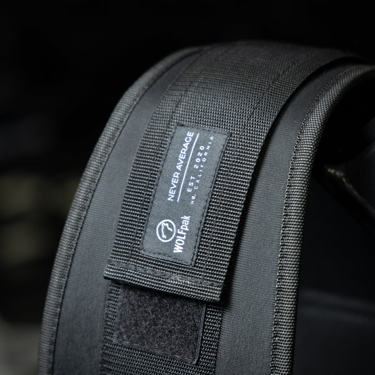 Lifting Belt - Image 4