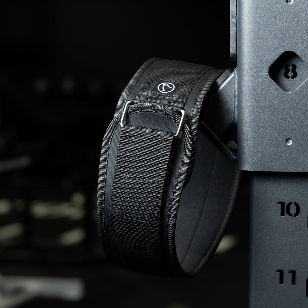 Lifting Belt - Image 3